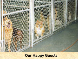 24 hour kennels near me