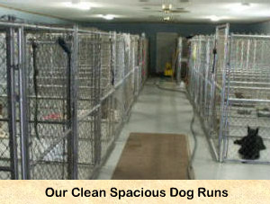 24 hour kennels near me